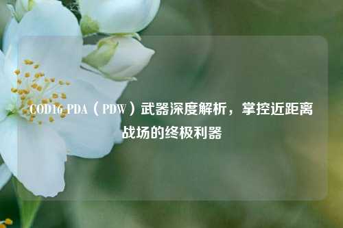 COD16 PDA（PDW）武器深度解析，掌控近距离战场的终极利器