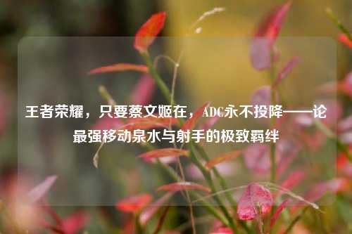 王者荣耀，只要蔡文姬在，ADC永不投降——论最强移动泉水与射手的极致羁绊