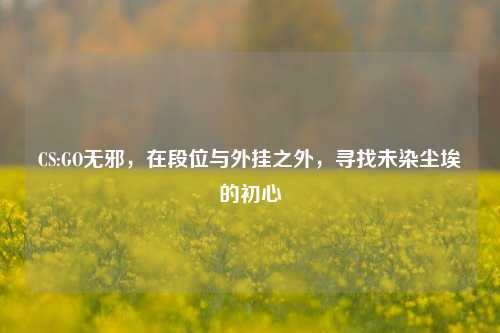 CS:GO无邪，在段位与外挂之外，寻找未染尘埃的初心