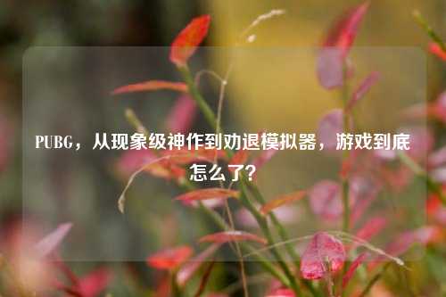 PUBG，从现象级神作到劝退模拟器，游戏到底怎么了？