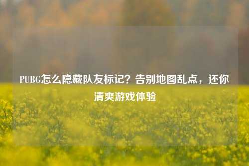 PUBG怎么隐藏队友标记？告别地图乱点，还你清爽游戏体验