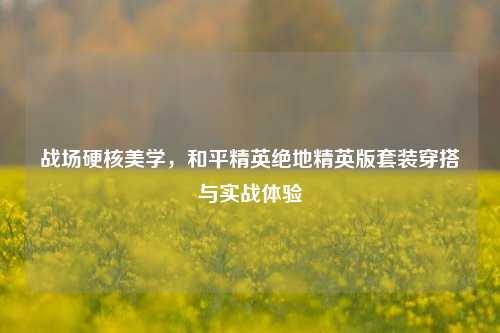 战场硬核美学，和平精英绝地精英版套装穿搭与实战体验