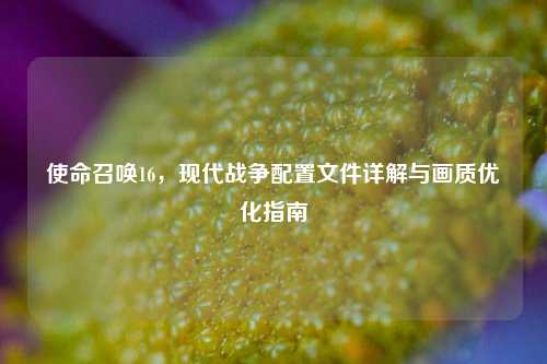 使命召唤16，现代战争配置文件详解与画质优化指南