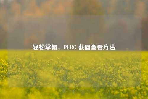 轻松掌握，PUBG 截图查看方法