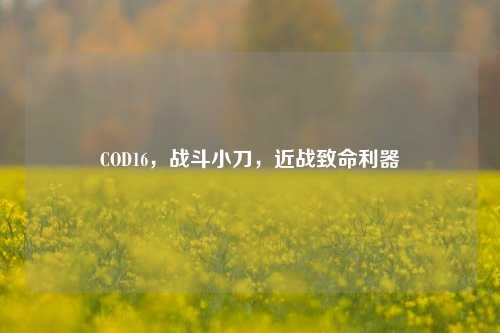 COD16，战斗小刀，近战致命利器