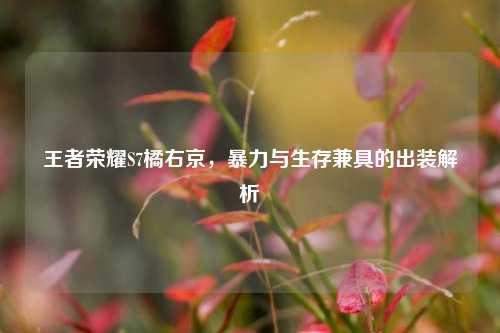 王者荣耀S7橘右京，暴力与生存兼具的出装解析