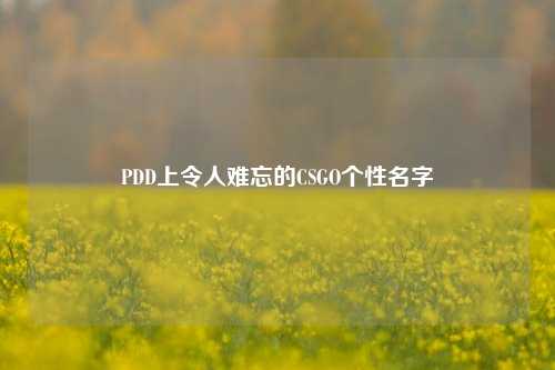 PDD上令人难忘的CSGO个性名字