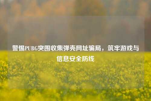 警惕PUBG突围收集弹壳网址骗局，筑牢游戏与信息安全防线