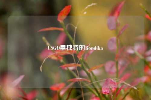 CSGO里独特的Bondika