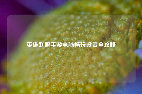 英雄联盟手游电脑畅玩设置全攻略