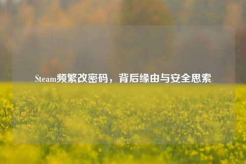 Steam频繁改密码，背后缘由与安全思索