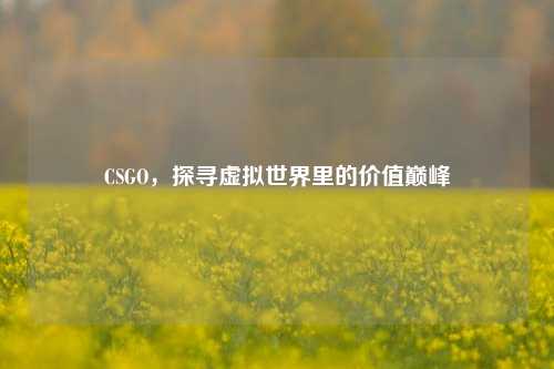 CSGO，探寻虚拟世界里的价值巅峰
