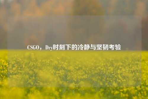 CSGO，Dry时刻下的冷静与坚韧考验
