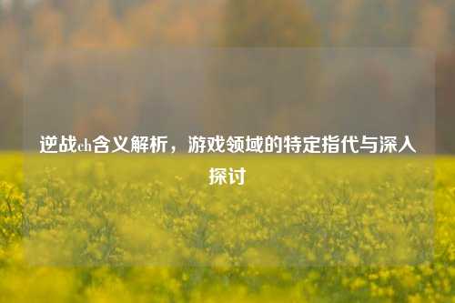 逆战ch含义解析，游戏领域的特定指代与深入探讨