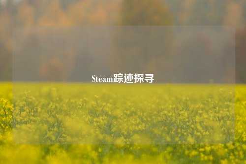 Steam踪迹探寻