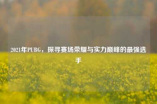 2021年PUBG，探寻赛场荣耀与实力巅峰的最强选手