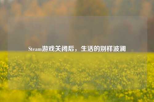 Steam游戏关闭后，生活的别样波澜