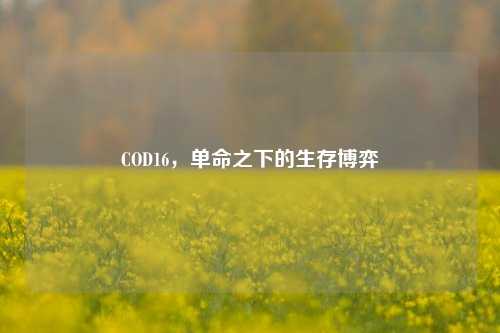 COD16，单命之下的生存博弈
