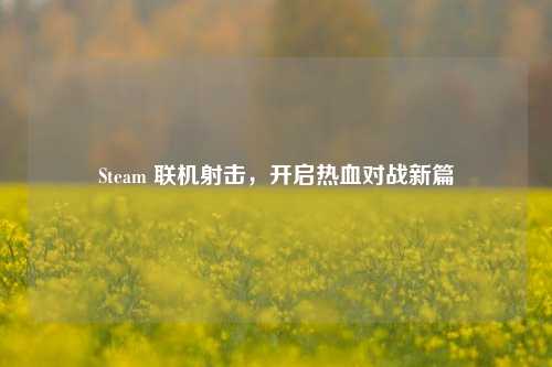 Steam 联机射击，开启热血对战新篇