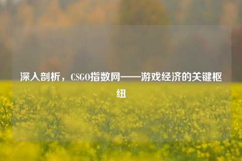 深入剖析，CSGO指数网——游戏经济的关键枢纽
