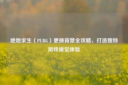 绝地求生（PUBG）更换背景全攻略，打造独特游戏视觉体验