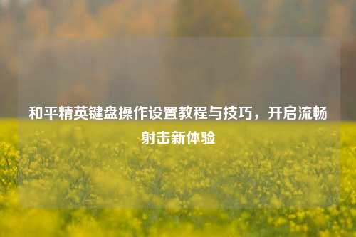和平精英键盘操作设置教程与技巧，开启流畅射击新体验