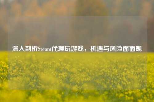 深入剖析Steam代理玩游戏，机遇与风险面面观