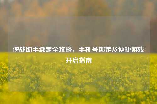 逆战助手绑定全攻略，手机号绑定及便捷游戏开启指南