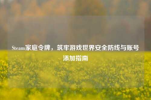 Steam家庭令牌，筑牢游戏世界安全防线与账号添加指南