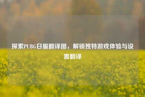探索PUBG日服翻译图，解锁独特游戏体验与设置翻译