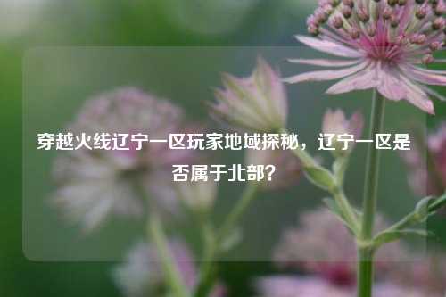穿越火线辽宁一区玩家地域探秘，辽宁一区是否属于北部？