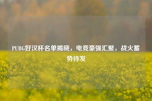 PUBG好汉杯名单揭晓，电竞豪强汇聚，战火蓄势待发