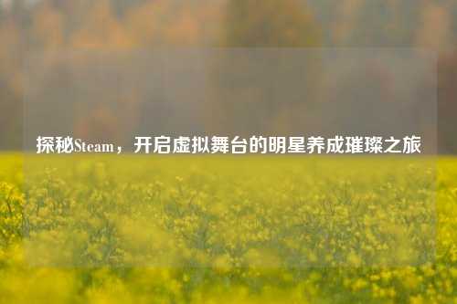 探秘Steam，开启虚拟舞台的明星养成璀璨之旅