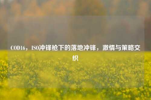 COD16，ISO冲锋枪下的落地冲锋，激情与策略交织