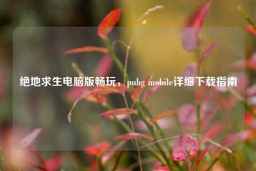 绝地求生电脑版畅玩，pubg mobile详细下载指南