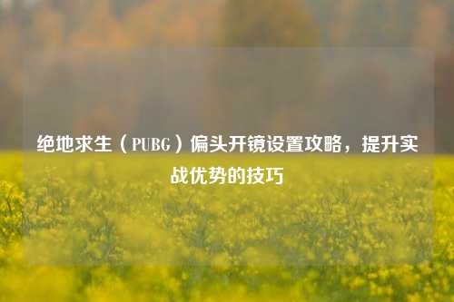 绝地求生（PUBG）偏头开镜设置攻略，提升实战优势的技巧