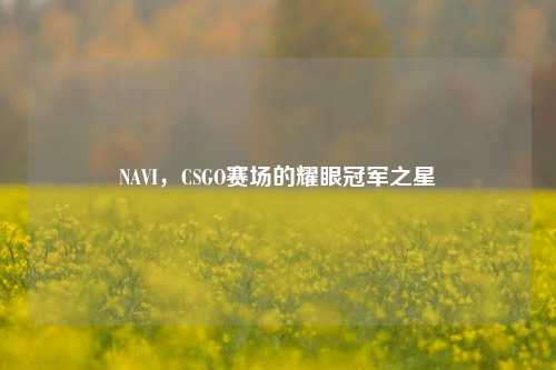 NAVI，CSGO赛场的耀眼冠军之星