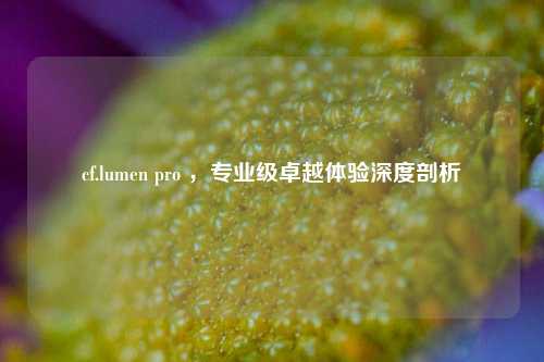 cf.lumen pro ，专业级卓越体验深度剖析