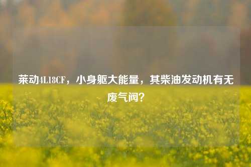 莱动4L18CF，小身躯大能量，其柴油发动机有无废气阀？