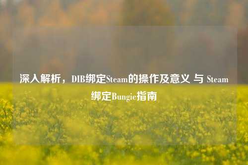 深入解析，DIB绑定Steam的操作及意义 与 Steam绑定Bungie指南
