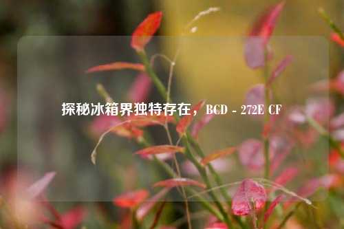 探秘冰箱界独特存在，BCD - 272E CF