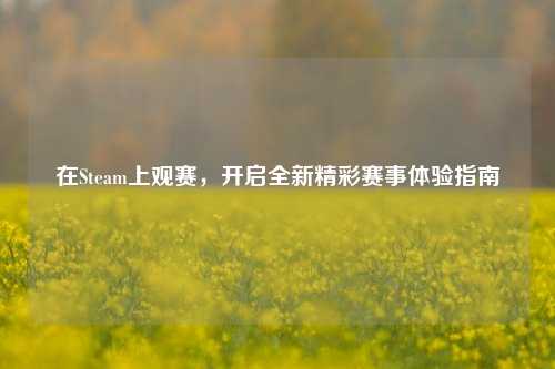 在Steam上观赛，开启全新精彩赛事体验指南
