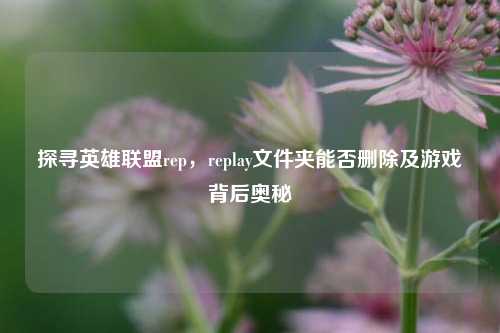 探寻英雄联盟rep，replay文件夹能否删除及游戏背后奥秘