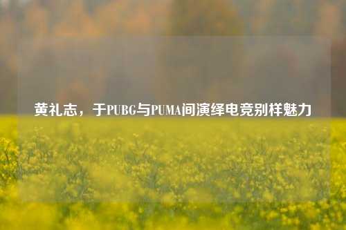 黄礼志，于PUBG与PUMA间演绎电竞别样魅力