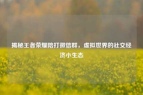 揭秘王者荣耀陪打微信群，虚拟世界的社交经济小生态