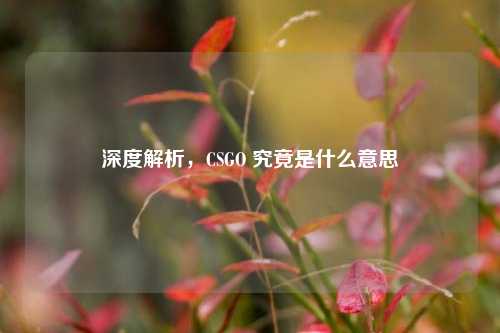 深度解析，CSGO 究竟是什么意思