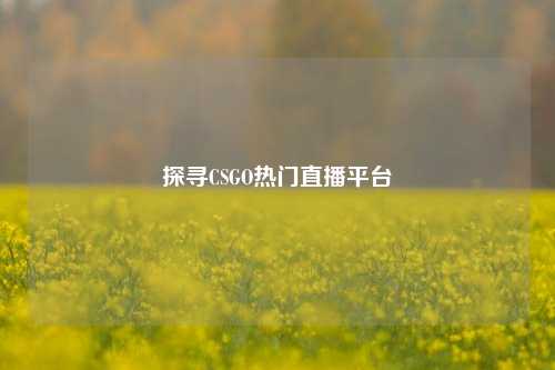 探寻CSGO热门直播平台