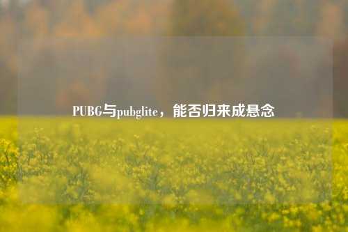 PUBG与pubglite，能否归来成悬念
