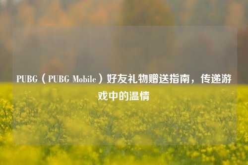 PUBG（PUBG Mobile）好友礼物赠送指南，传递游戏中的温情