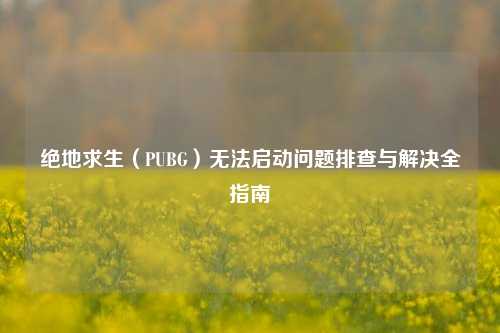 绝地求生（PUBG）无法启动问题排查与解决全指南